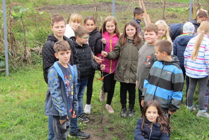 2019.11.15. - Fa�ltet�s