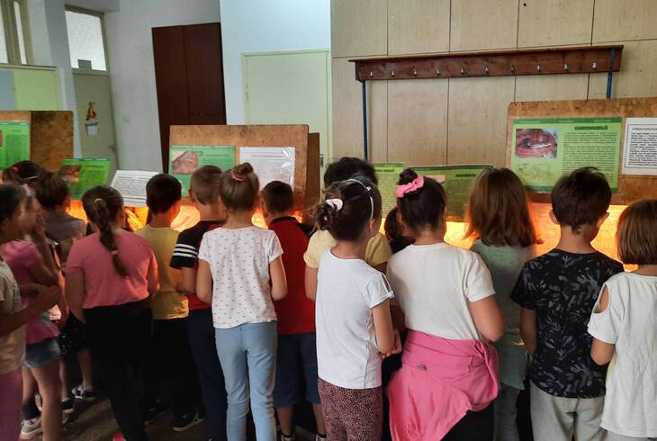 2022.05.25-26. - H�ll�ki�ll�t�s